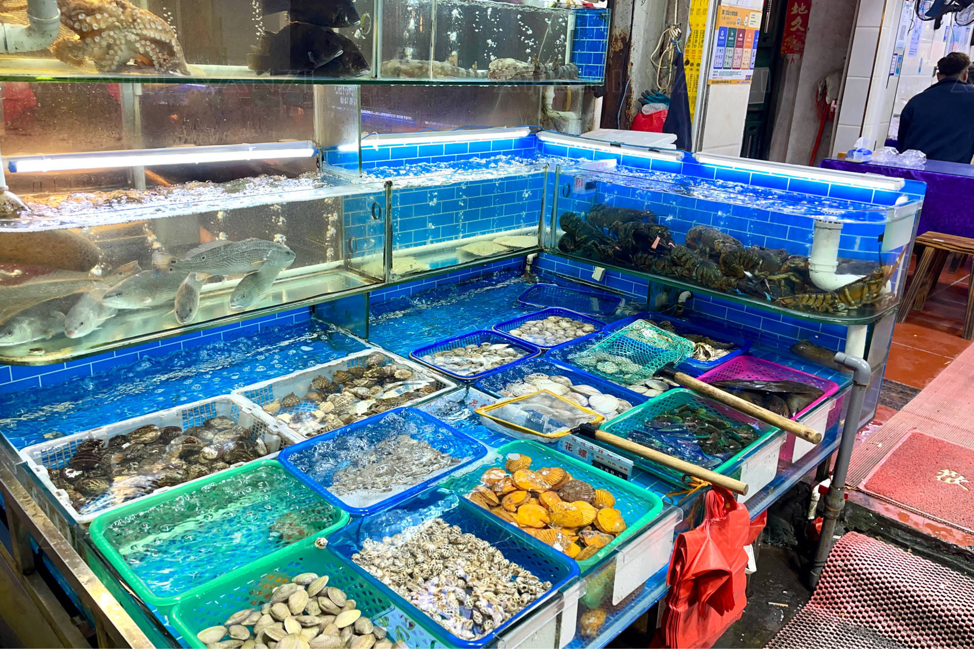 廈門八市里的珍饈 鑲金包銀養殖巴浪魚，海鮮加工店的獨特風味