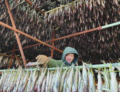 琿春市“無中生有”的產業奇跡 水產品加工業的崛起與銷售新篇