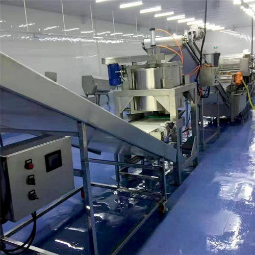 海產(chǎn)品氣泡翻滾式清洗機(jī)廠家多重優(yōu)惠，品質(zhì)保障，長(zhǎng)期有效