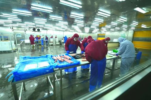 藍(lán)潤(rùn)水產(chǎn)收購(gòu)九硒 開(kāi)啟深藍(lán)戰(zhàn)略新篇章，加速銷售網(wǎng)絡(luò)布局